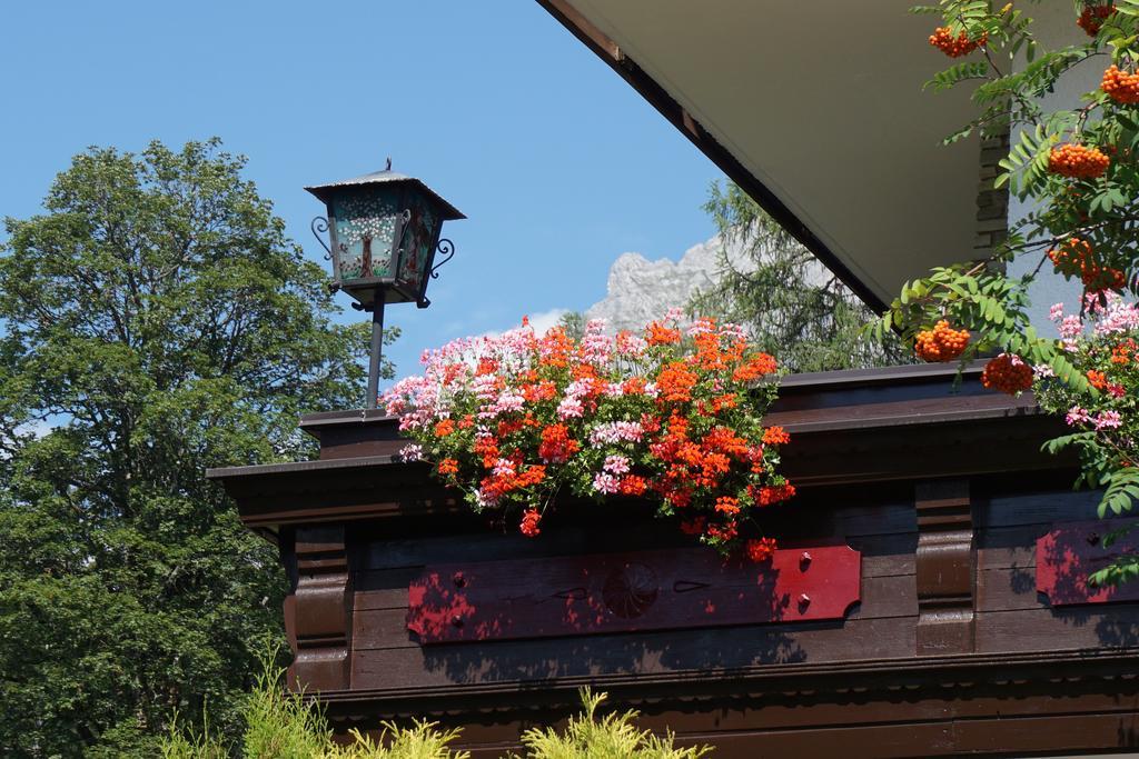 Pension Dachsteinhof Рамзау-ам-Дахштайн Екстер'єр фото